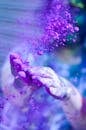 Close-up of hands throwing vibrant purple powder outdoors, capturing motion and color.